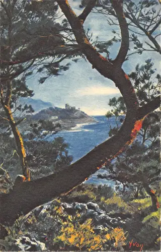 BR53941 Le Cap Ferrat vu a travers les pins d alep France 1 2