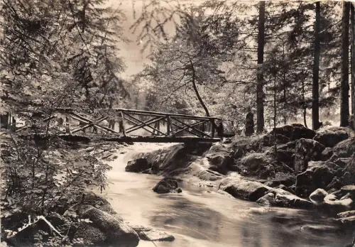 BR12230 Gerardmer le pont d Amour france