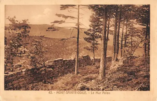 BR72676 mont sainte odile le mur paien france