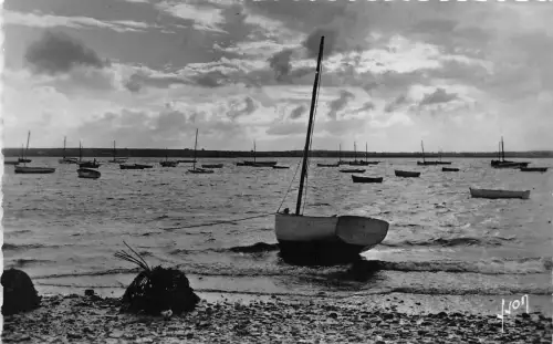 BR18888 Carantec le port france