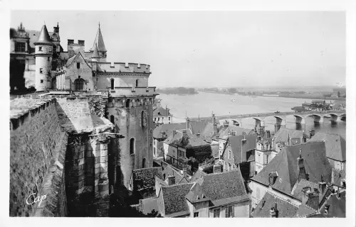 BR51133 le chateau et le pont Amboise Frankreich