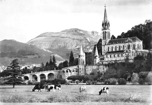 BR20754 La basilique et le pic du jer lourdes Frankreich