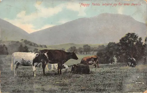 BR39939 Glückliche Felder wo die Freude ewig wohnt Kuh vacht