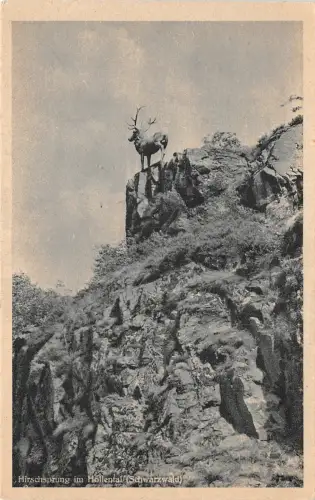 BR41882 Hirschsprung im Holletal Germany