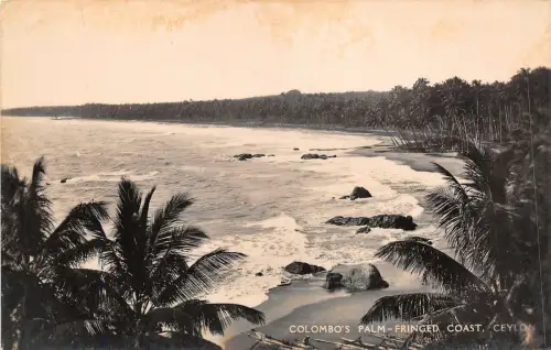 br106401 colombo palmenfransen küste ceylon sri lanka