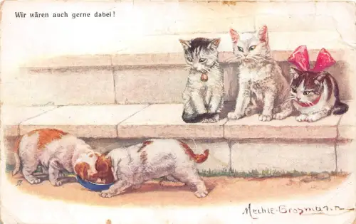 B71544 Katzen Hunde Chat Chiens Illustration Mechle Grosmann