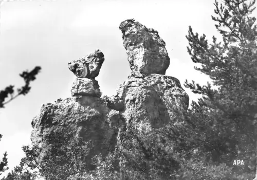 BR7734 Le lapin et le Chien Montpellier france