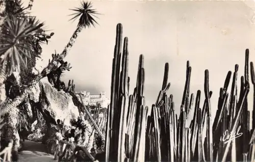 BR16376 Monaco le rocher vu du jardin Exotique