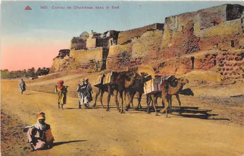 B91520 convoi de chameaux dans le sud chamelsorten folklore marokko