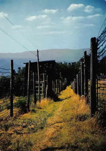 BR42962 Un mirador le chemin de ronde Camp de Deportation de natzwiller s france