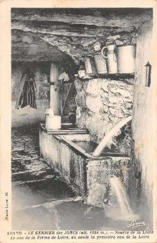 BT14588 Le Gerbier des joncs source de la loire France