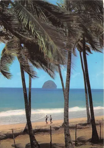 BR40479 Martinique le diamant cocotiers plage et rocher Frankreich