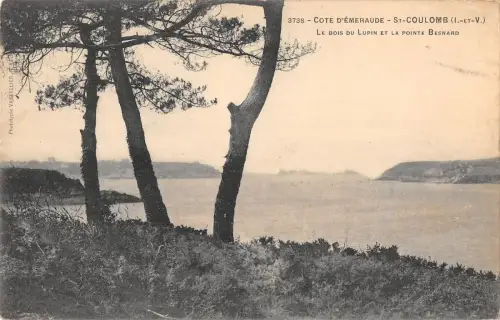 BR78308 st coulomb le bois du lupin et la pointe besanard france
