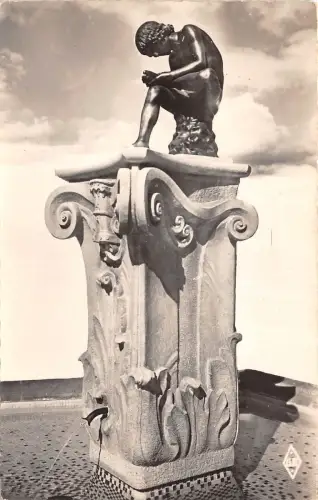 BR8119 Epinal Le Pinot Postkarte Frankreich