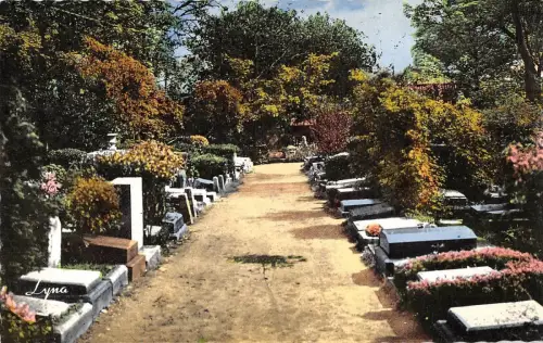 BR48974 Asnieres le cimetiere des chiens l allee centrale France