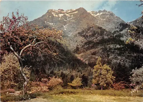 BR26794 Vizzavona le monte d oro Frankreich