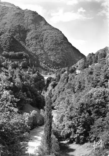 BR5998 Le Pont Napoleon et le Gave Luz St Sauveur france