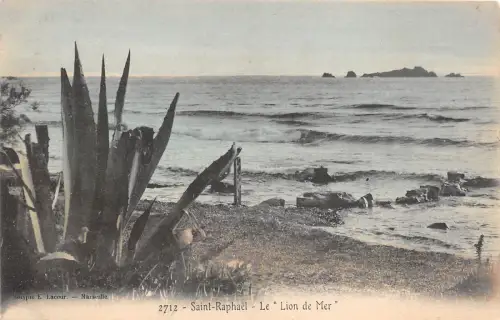 B39639 Saint Raphael Le Lion de Mer france