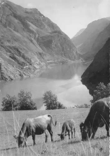 BF30107 le chambon france