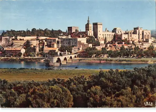 B109831 Frankreich Avignon Le Rhone Le Pont St-Benezet, Le Palais des Papes