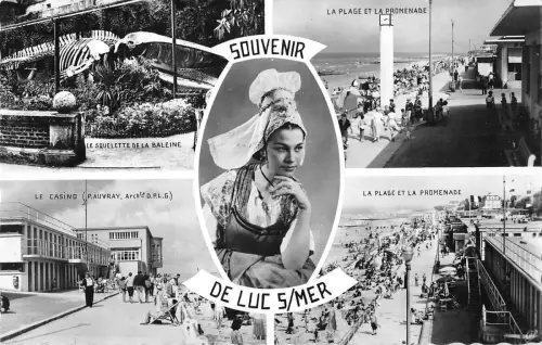 B105167 Frankreich Luc sur Mer Le Casino, Le Squelette Baleine Plage