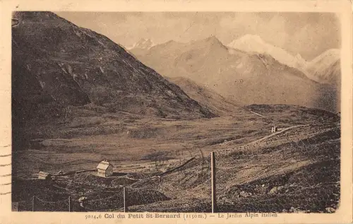 BF8306 cold u petit st bernard le jardin alpin iatlien france France