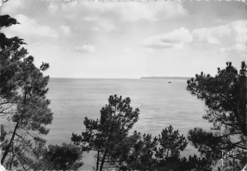 BR52302 Sables d or les pins la baie et le cap frehel France