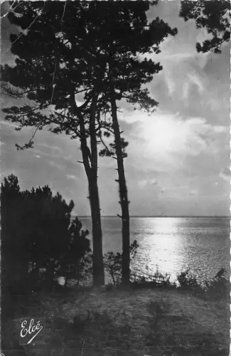 BR20498 Bassin d arcachon coucher de soleil sur le bassin France