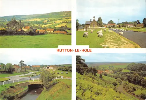 uk34265 hutton le hole uk