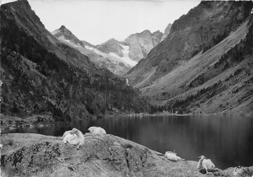 BR29006 Cauterets le lac de Gaube france