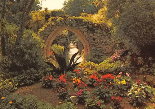 BR75686 Tresco Gardens Isles of Scilly UK