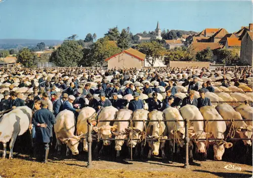 BR44067 Kuhvacher St Christophe en Brionnais la celebre foire aux bestiaux anim