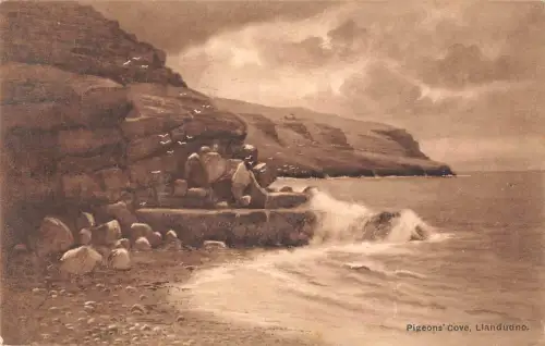 uk24555 pigeons cove llandudno wales real photo uk