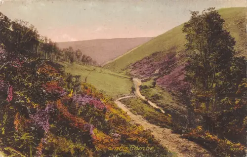 uk23891 ALCOMBE COMBE nr MINEHEAD in Somerset uk