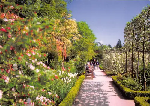 uk35078 ornamental garden alnwick northumberland uk