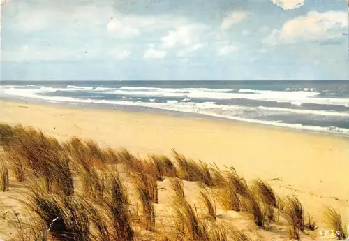 BT8186 Cote d argent l ocean France