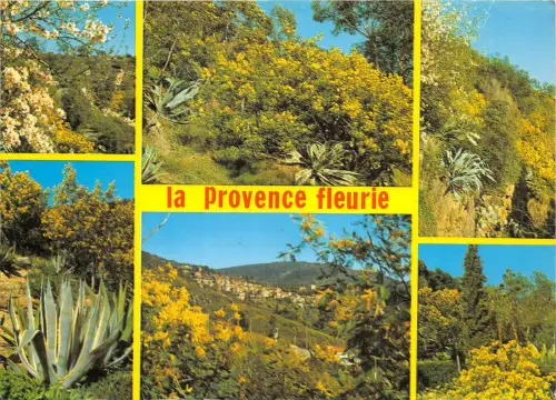 BR26157 La Provence Fleurie Cote D azur Frankreich