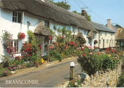 BR75749 branscombe devon cottages uk