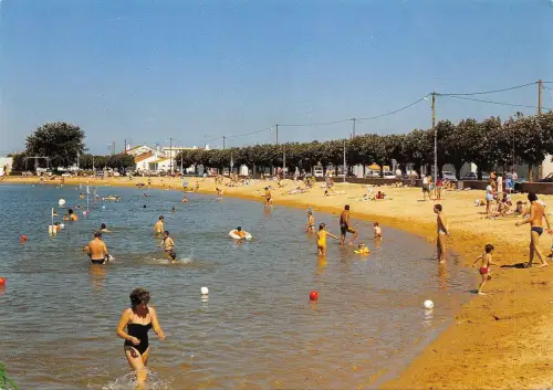 BF216 l aiguillon sur mer la plage france