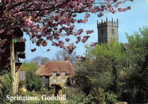 B96594 springtime godshill isle of wight uk
