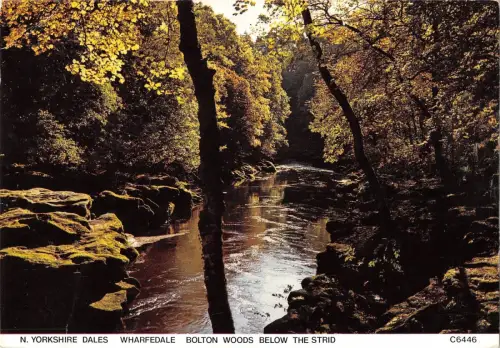 BR82900 n yorkshire dales wharfedale bolton woods below the strid uk