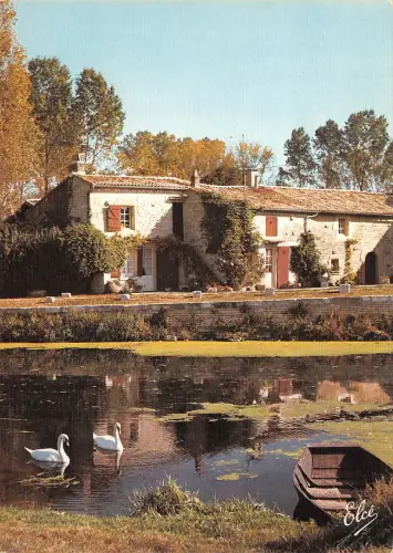 BF2788 marais poitevin en poitou france