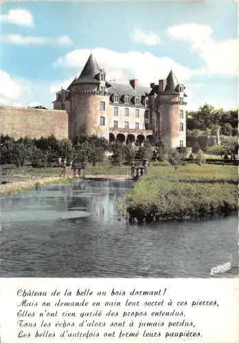 BR29606 Saint Porchaire chateau de la Roche Courbon france