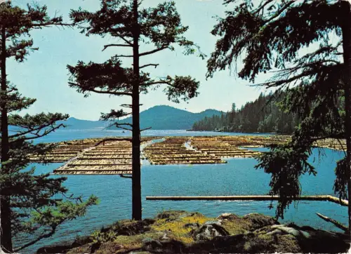 B95524 log booming ground vancouver island canada