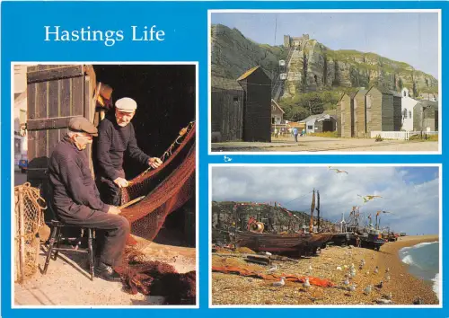 uk49125 hastings uk life fishing