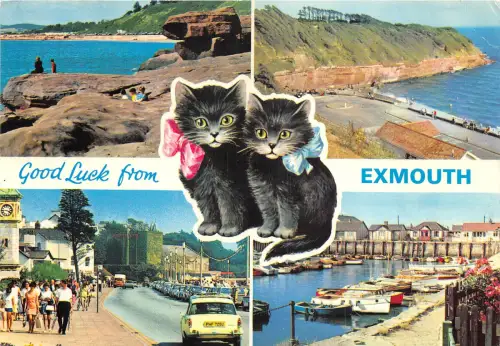 uk49173 good luck from exmouth uk cat