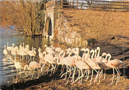 uk49112 bird garden harewood yorkshire uk