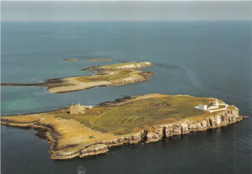 uk49135 farne island northumberland uk
