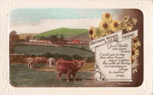 uk3676 Geburtstagswünsche an meinen lieben Freund Echtfoto UK Kuh Rinder
