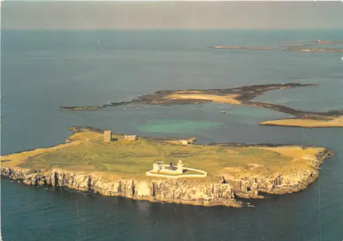 uk49134 farne island northumberland uk